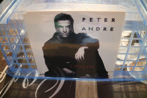Peter andre feel you - andre,
