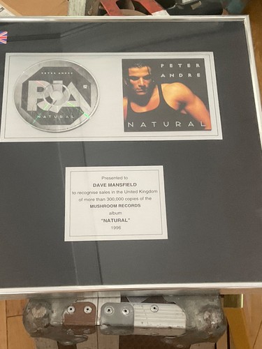 Genuine presentation disc - genuine,